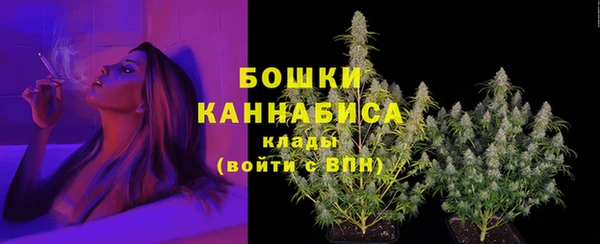 прущий лед Белокуриха