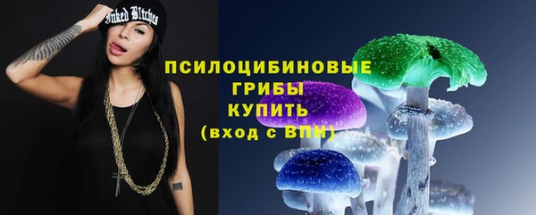 прущий лед Белокуриха