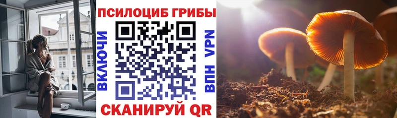 OMG ТОР  купить наркоту  Боровичи  Псилоцибиновые грибы мицелий 